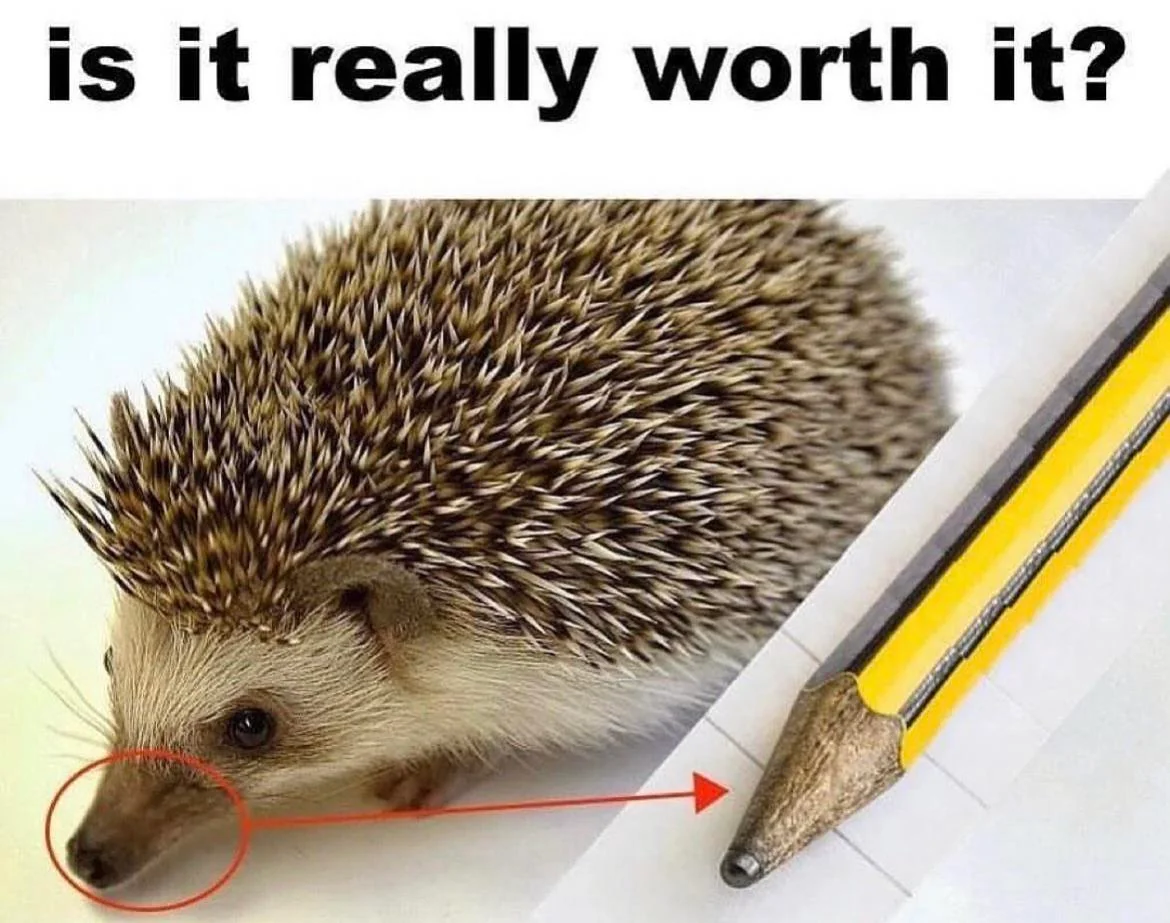 1694536602699.png