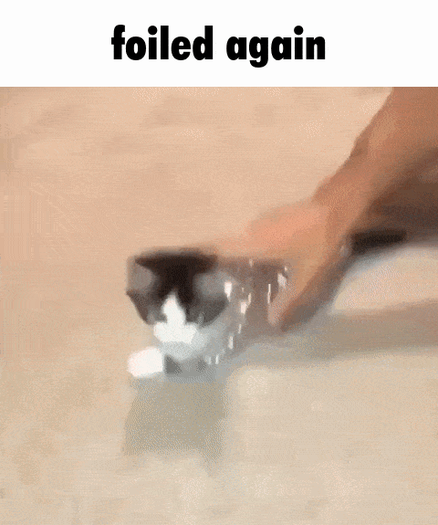 caption-1-min.gif