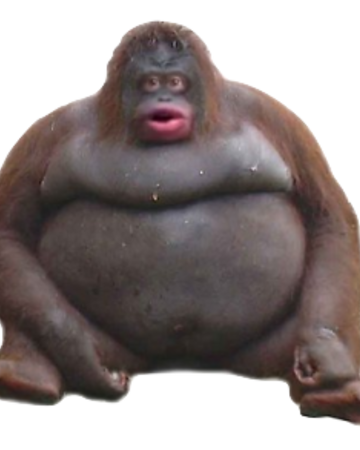 Monky.png