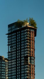 IMG_0524.jpeg