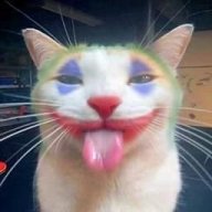 billybucu06