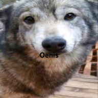 m0thra