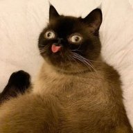 SmeazyPeazy