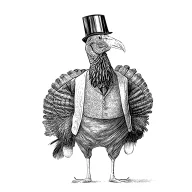 DaTurkeyJava