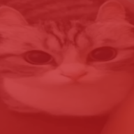 RowenMangx