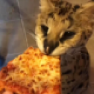 theodore