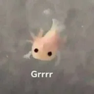 FieryPhoenix_