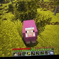 JavaGrace
