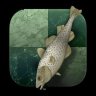 Stockfish_MC