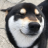 Dogeington