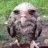 Charmethius