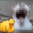SheepsAreCoo1