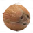 ProPebX
