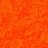Carrottt_