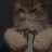 _King_Of_Nobody_