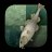 Stockfish_MC