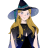 GoldenCryptic