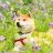 fluffery